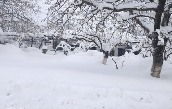 ΚΑΚΟΚΑΙΡΙΑ -ΕΥΒΟΙΑ: Κοιτάξτε που έφτασε το χιόνι στον Άγιο Μάρτη μήνα