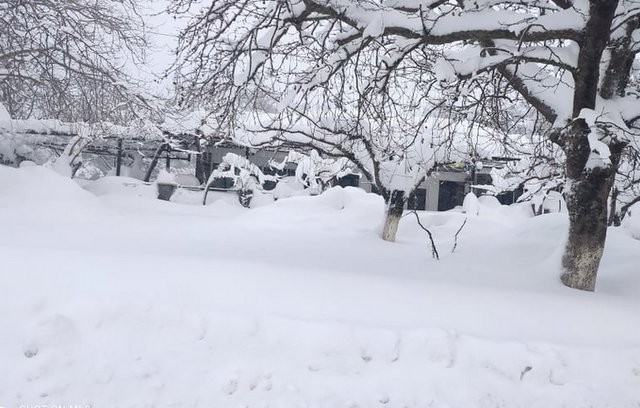 ΚΑΚΟΚΑΙΡΙΑ -ΕΥΒΟΙΑ: Κοιτάξτε που έφτασε το χιόνι στον Άγιο Μάρτη μήνα