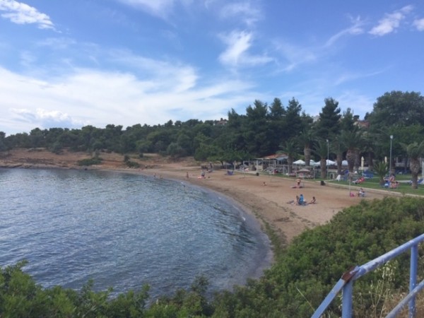 ΑΡΤΑΚΗ: Καταγγελία πατέρα για αδέσποτα σκυλιά στην πλαζ Ζέφυρος