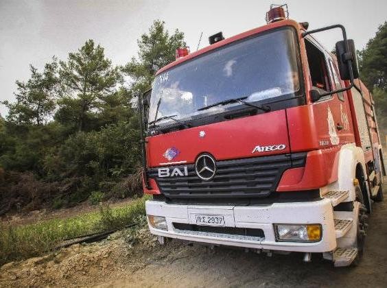 ΕΥΒΟΙΑ: Σεκιουριτάς εντόπισε δύο εμπρηστές στην περιοχή της Ανθηδώνας