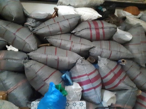 ΧΑΛΚΙΔΑ: Το Δασαρχείο εντόπισε και κατάσχεσε 1,5 τόνο τσάι σιδερίτη (φωτό)