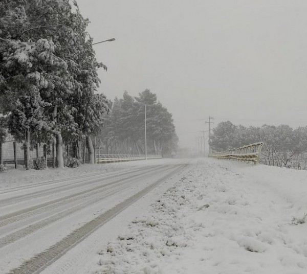 ΚΑΚΟΚΑΙΡΙΑ ΕΛΠΙΣ ΔΗΜΟΣ ΙΣΤΙΑΙΑΣ-ΑΙΔΗΨΟΥ: «Θάφτηκε» η περιοχή στο χιόνι