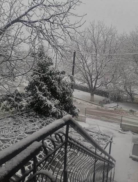 ΜΙΣΤΡΟΣ ΕΥΒΟΙΑ: Ντύθηκε στα λευκά το χωριό