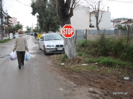 Μέσα στα κλαδιά φύτρωσε και το stop!
