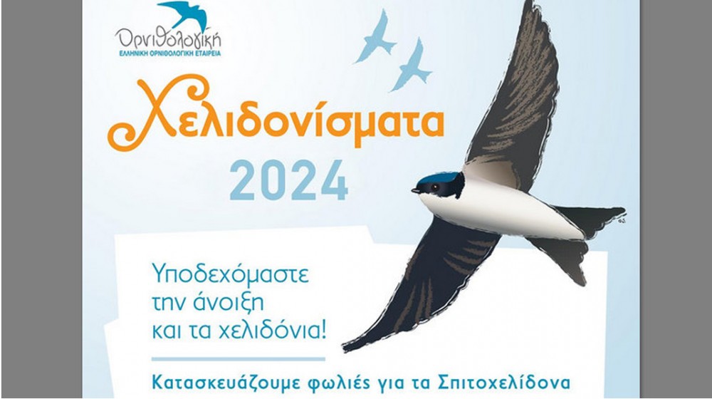 Χελιδονίσματα και άλλες δράσεις στον υγρότοπο του Κολοβρέχτη