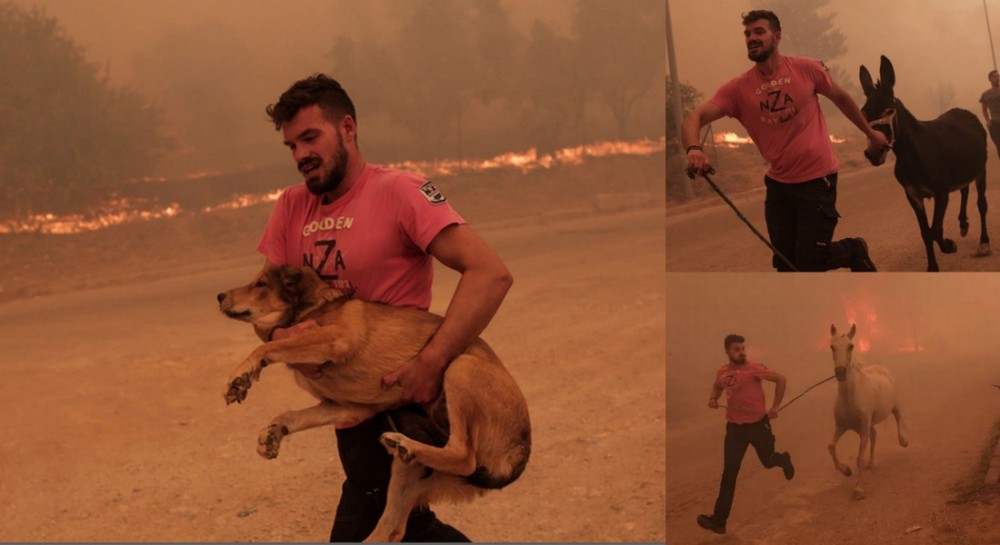 ΦΩΤΙΑ ΣΤΗ ΦΥΛΗ: Συγκλονιστική προσπάθεια κατοίκου να σώσει ζώα (φωτογραφίες)