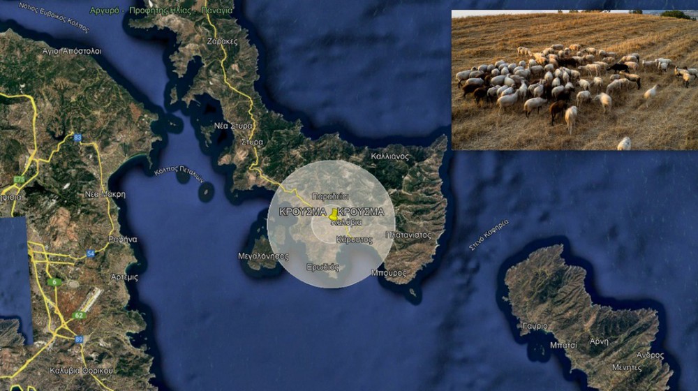 ΕΥΒΟΙΑ: Κρούσματα ευλογιάς σε κοπάδι αιγοπροβάτων στην περιοχή της Καρύστου