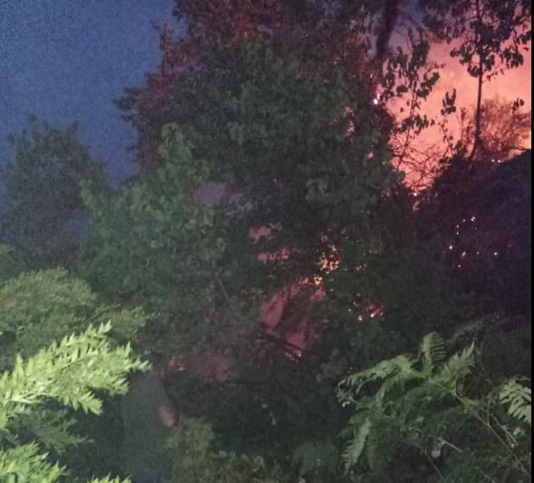 ΚΥΜΗ: Ξέσπασε φωτιά στους Ανδρονιάνους