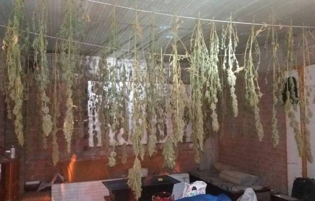 ΔΗΛΕΣΙ: Έφτιαξε στο γιαπί οικοδομής εργαστήριο καλλιέργειας χασίς