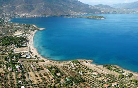 Αλυκές, Καλάμια ή μήπως Λευκαντί;