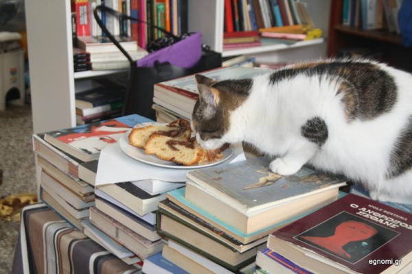 Λιμπίστηκε το κέικ το γατί!