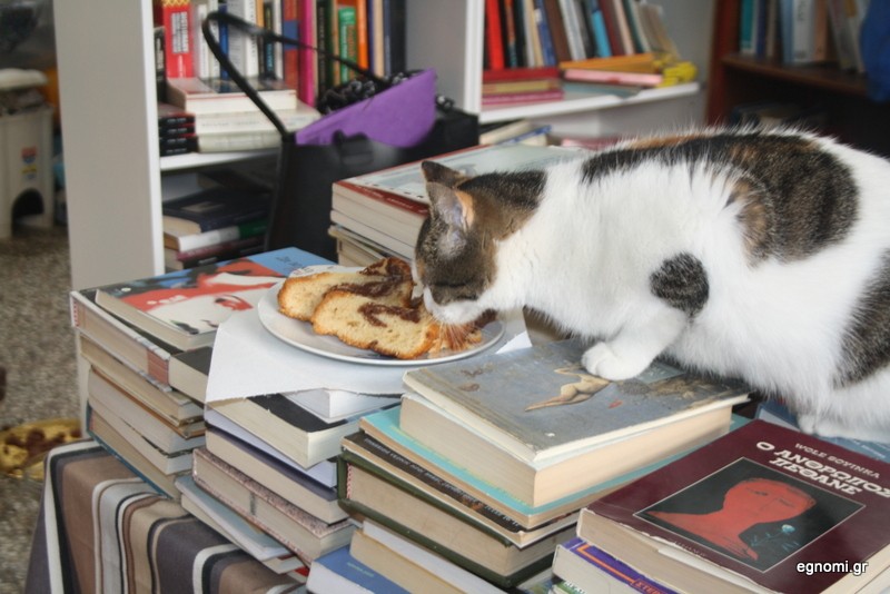 Λιμπίστηκε το κέικ το γατί!