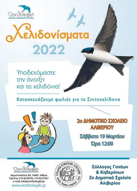 ΑΛΙΒΕΡΙ: Φτιάχνουν φωλιές για τα χελιδόνια με τραγούδια και χαρά