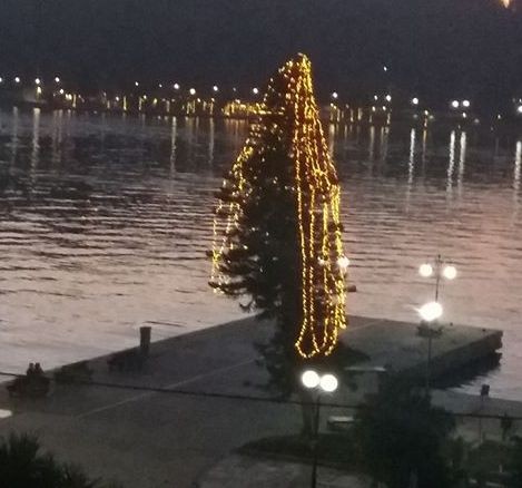 ΧΑΛΚΙΔΑ: Δέντρο με ...λειψά λαμπάκια