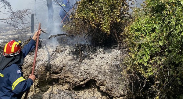 Oριοθετήθηκε η φωτιά στο Βίταλο