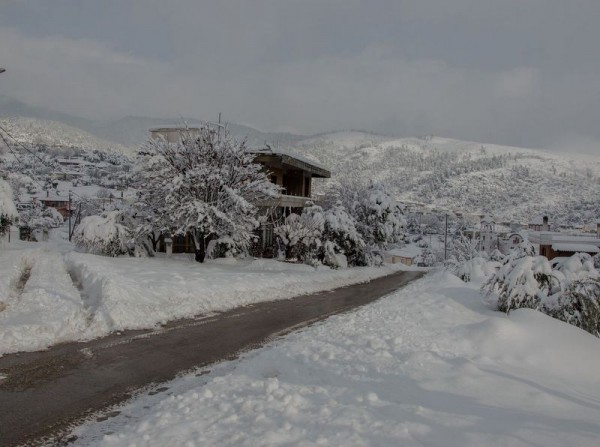 Ντυμένη στα λευκά και η Ατταλη Μεσσαπίων