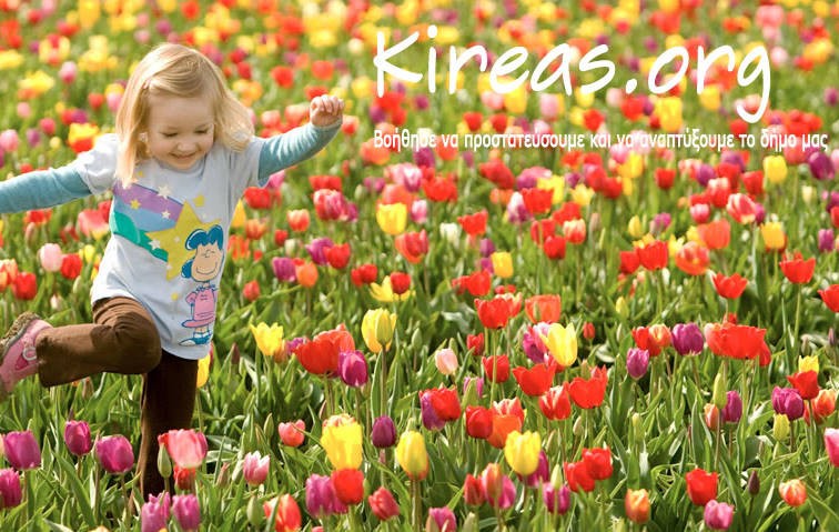 Σβήνει 4 κεράκια ο Kireas.org