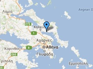 Εξελέγη πρόεδρος ο Δημήτρης Τόπακας