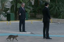 Η Σύνοδος των 20 και οι ...τρεις γάτες