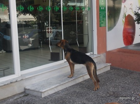 Εχει πέσει μεγάλη πείνα...