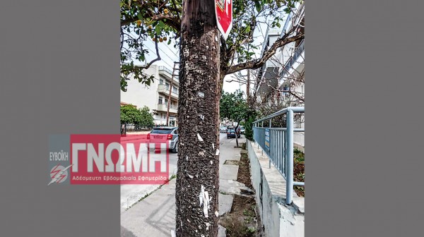 ΑΡΤΑΚΗ: Κολόνες με ...μαχαίρια