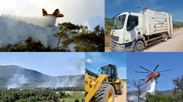 ΧΑΛΚΙΔΑ: Συνελήφθη ένα άτομο για την φωτιά στη Ριτσώνα το μεσημέρι της Δευτέρας