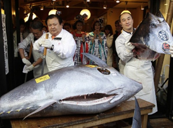 Πουλήθηκε τόνος έναντι 1,8 εκατ. δολλαρίων