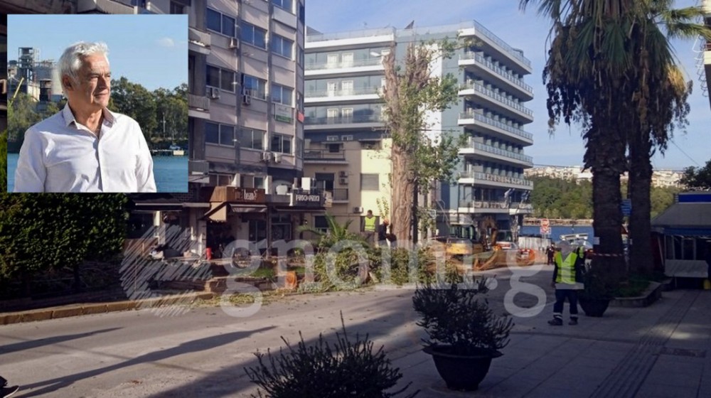 ΧΑΛΚΙΔΑ: Οργισμένη αντίδραση από τον Γιώργο Σπύρου για την κοπή των δένδρων στη λεωφόρο Βενιζέλου
