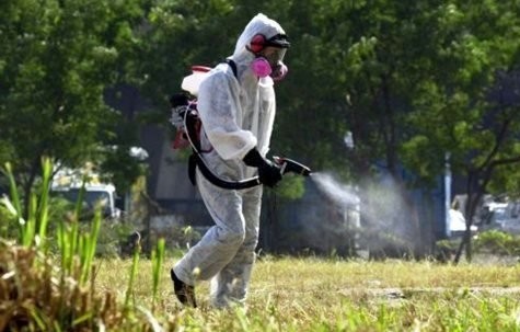 Καταπολέμηση των εντόμων στο Δήμο Ερέτριας
