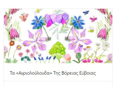 ΤΑ ΑΓΡΙΟΛΟΥΛΟΥΔΑ ΤΗΣ ΒΟΡΕΙΑΣ ΕΥΒΟΙΑΣ: Μία δράση για την στήριξη των παιδιών