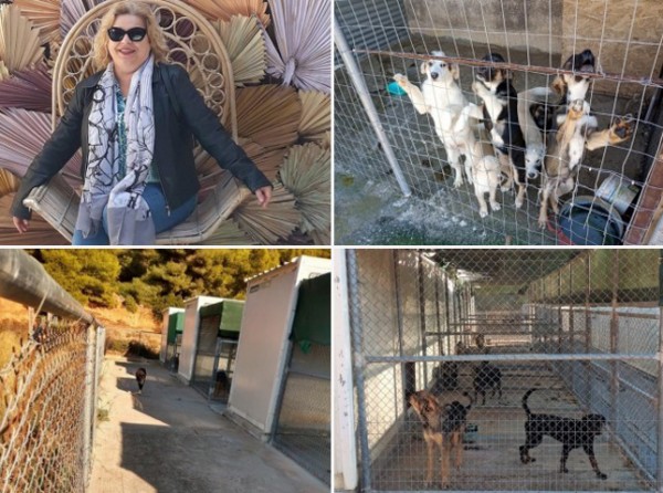 ΧΑΛΚΙΔΑ: Μαθητές ...βομβάρδισαν με ερωτήσεις την προϊσταμένη του Δημοτικού Κυνοκομείου