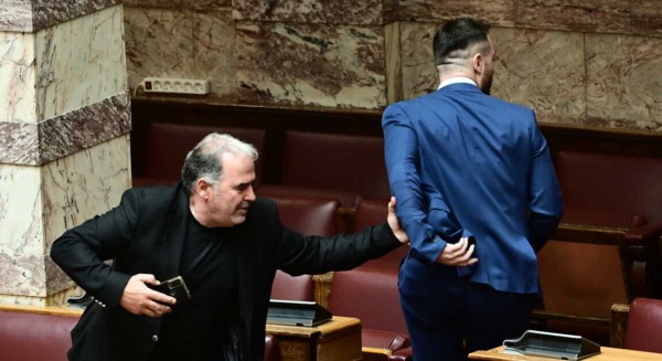 Έπεσε ξύλο στη Βουλή