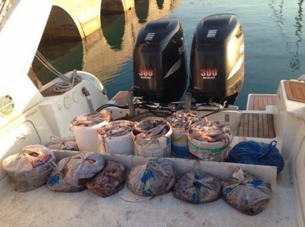 Κατασχέθηκαν 89 κιλά θράψαλα από το Λιμεναρχείο Κύμης (pics)