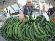 Aγγούρια έφαγαν 14 ανθρώπους