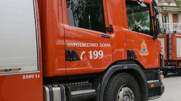 Φωτιά σε κολόνα της ΔΕΗ στα Βασιλικά στη Βόρεια Εύβοια