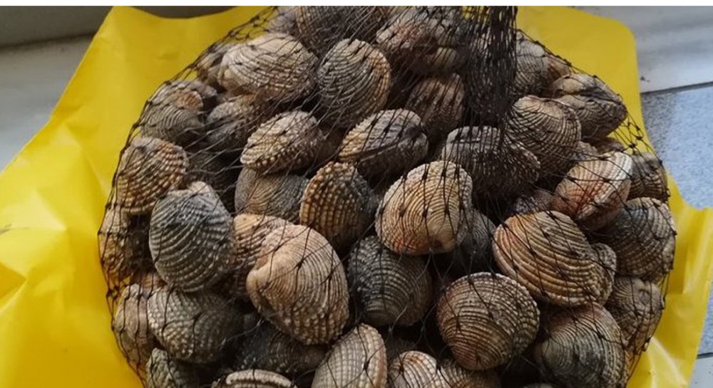 ΛΙΜΕΝΑΡΧΕΙΟ ΧΑΛΚΙΔΑΣ: Κατασχέθηκαν και καταστράφηκαν 5 κιλά κυδώνια (φωτό)