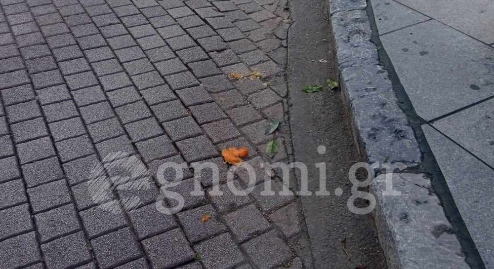 ΧΑΛΚΙΔΑ: Ντελιβεράς πατάει νεράντζι και τρώει τούμπα (VIDEO)