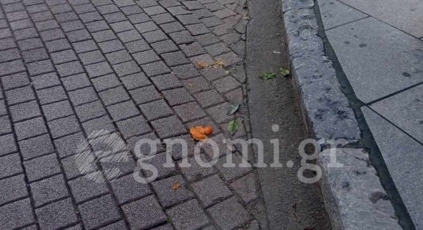 ΧΑΛΚΙΔΑ: Ντελιβεράς πατάει νεράντζι και τρώει τούμπα (VIDEO)