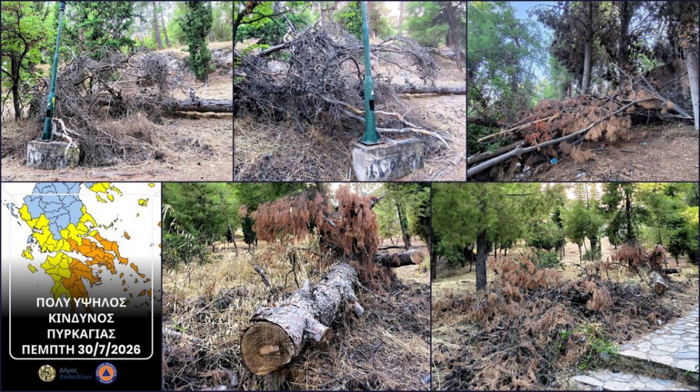 ΝΤΡΟΠΗ: Πλήρης ετοιμότητα στα λόγια - Οι εικόνες από το αλσύλλιο Κανήθου διαψεύδουν τον Δήμο Χαλκιδέων