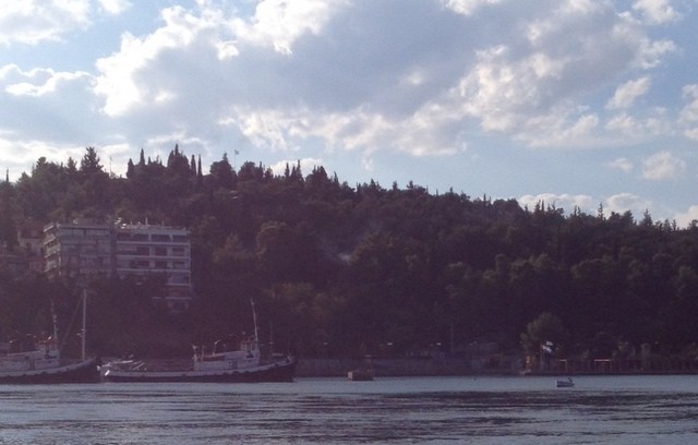 Τρόμαξε όλη η Χαλκίδα από φωτιά στο αλσύλλιο της Κανήθου