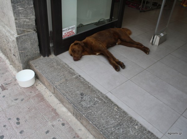 Ανάψτε λίγο το air condition ρε παιδιά!