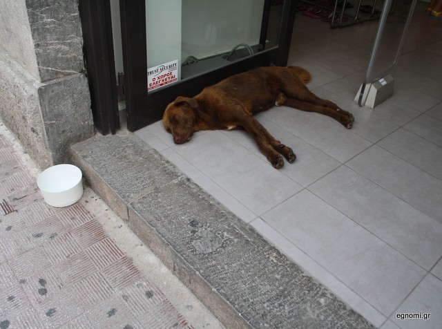 Ανάψτε λίγο το air condition ρε παιδιά!