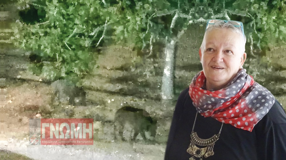 ΔΡΟΣΙΑ ΧΑΛΚΙΔΑΣ: Δεινοπαθούν από τα αγριογούρουνα