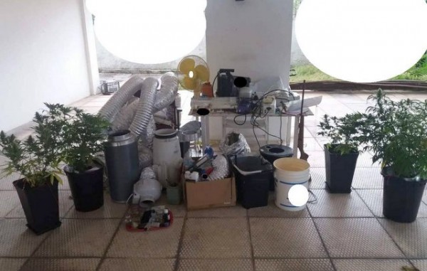 ΙΣΤΙΑΙΑ: Αυτές είναι οι φωτογραφίες από την πλήρη εγκατάσταση υδροπονικής καλλιέργειας χασίς