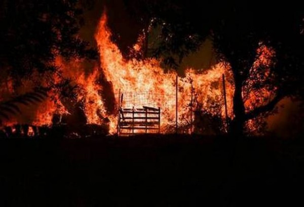 Πέρασε την Εθνική οδό προς Ωρωπό το πύρινο μέτωπο της Μαλακάσας