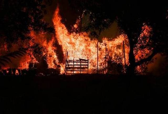 Πέρασε την Εθνική οδό προς Ωρωπό το πύρινο μέτωπο της Μαλακάσας