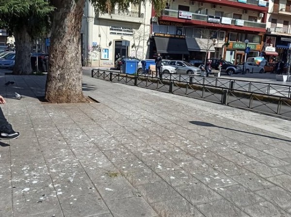 ΧΑΛΚΙΔΑ: Γεμάτο κουτσουλιές το πεζοδρόμιο απέναντι από το ναό Αγίου Νικολάου