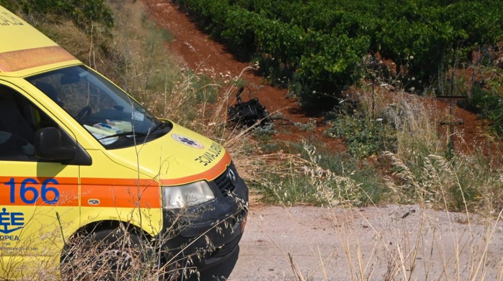 ΣΤΕΡΕΑ ΕΛΛΑΔΑ: 50χρονος πέθανε στον δρόμο για το φαρμακείο από τσίμπημα μέλισσας
