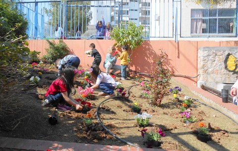 Τα παιδιά φυτεύουν λουλούδια και ομορφαίνουν τα σχολεία