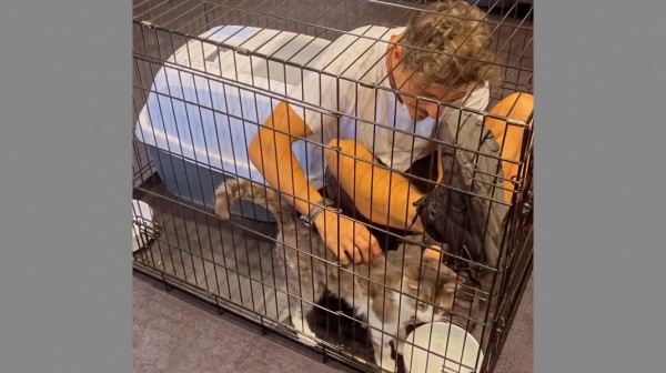 Ο Δημήτρης Γιαννακόπουλος μπήκε στο κλουβί για να συμπαρασταθεί στον τραυματισμένο γάτο του